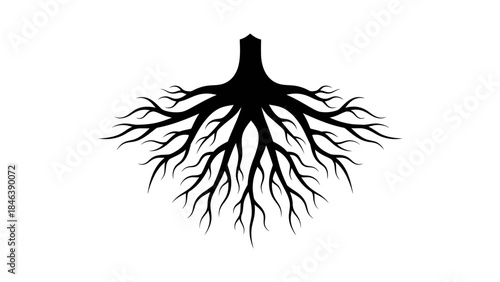 Tree Roots Silhouette Illustration – Strong Nature Growth Underground Symbol