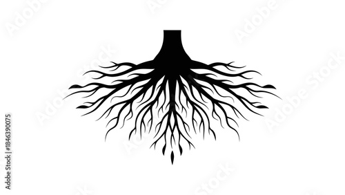 Tree Roots Silhouette Illustration – Strong Nature Growth Underground Symbol
