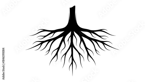 Tree Roots Silhouette Illustration – Strong Nature Growth Underground Symbol