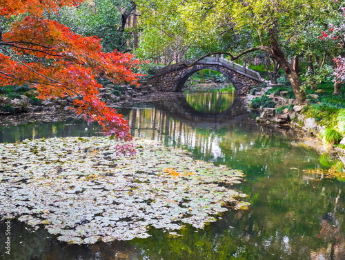 Autumn landscape of a Chinese park. China. Hangzhou.