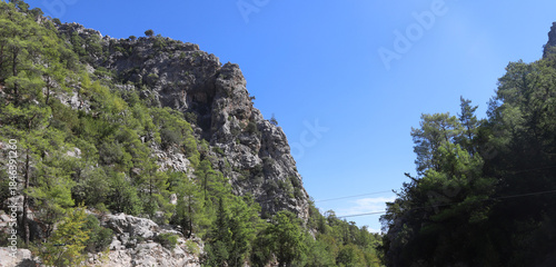 Dramatic limestone mountains in Goynuk canyon, Turkey. Rocky cliffs with pine forests.