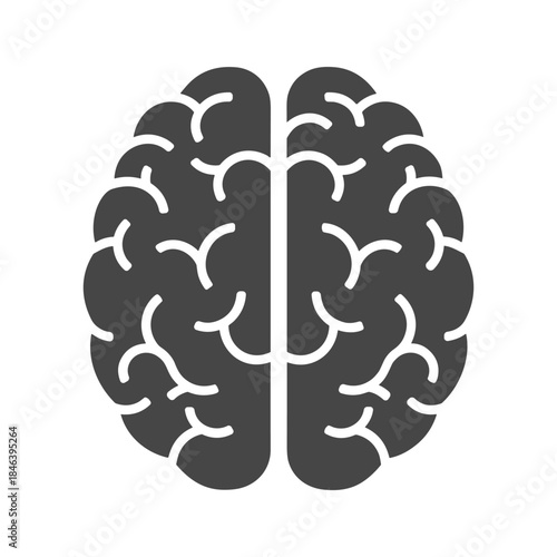 Human Brain Illustration