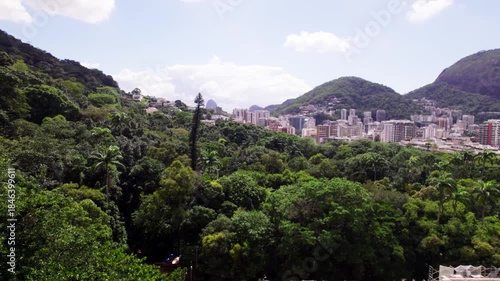 Beautiful Rio de Janeiro jungles Brazil
