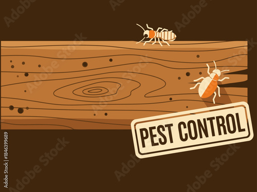 A wooden plank displays termite activity, highlighted by a pest control sign.  Illustrative, vector style.  Ideal for pest control marketing materials.