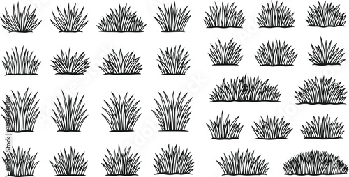 Black grass brush stroke hand drawn texture, grass line doodle. Simple field design, outline grassland or meadow sketch for garden pattern or lawn. Herb marker vector isolated element.eps