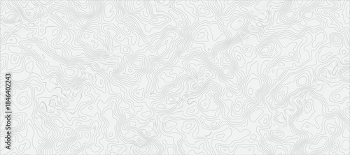 Minimalist Topographic Map Abstract Featuring Fine, Faint Gray Contour Lines Topography Texture for Background Design and Maps.