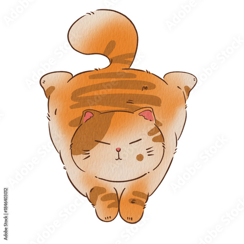 Cat cute
