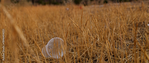 Plastic cup in the grass in the middle of foothills steppe. Nature ecology problem.