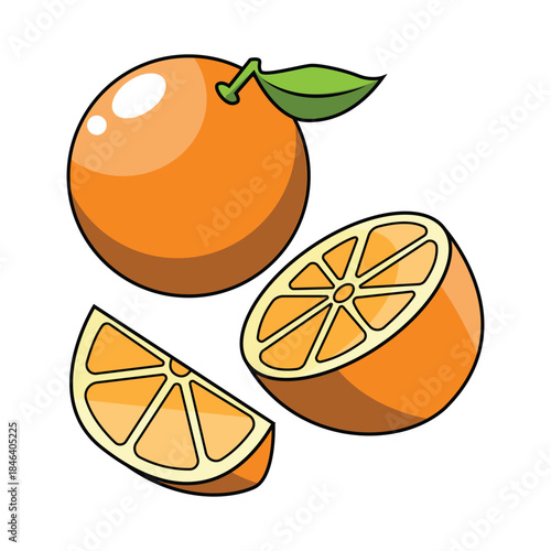Cutaway Orange Illustration