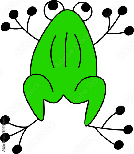 Cute Lineal Hand-Drawn Green Frog Character