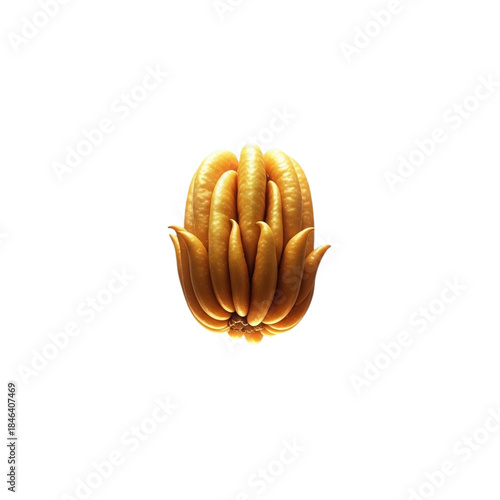 Abstract close up of a golden plant bud emerging from darkness