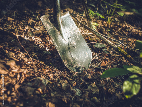 Shovel leaning against a tree in the forest