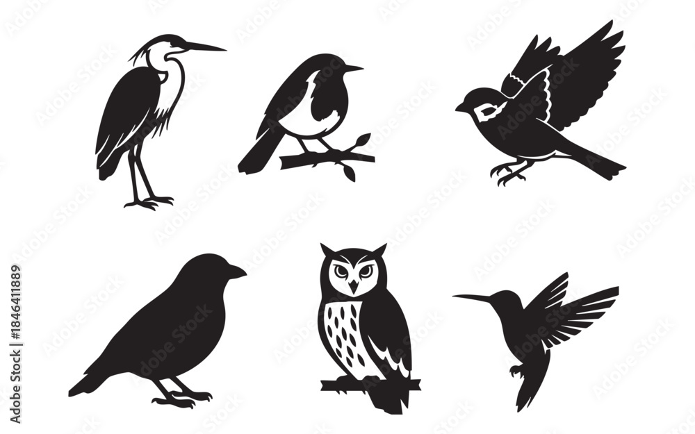 Fototapeta premium Bird Silhouette Vector Set
