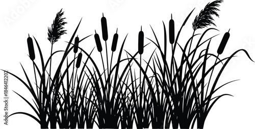 Black Silhouette of Reeds and Cattails Grass Vector Illustration, Pond and Swamp Plant Graphic, Simple Marsh Vegetation Border, Natural Wetland Element Design, Isolated on White Background