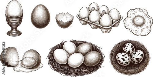 Detailed engraving style illustration of various egg types including whole, cracked, raw, fried, quail eggs, egg carton, and eggs in a nest for food graphics.