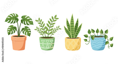 Collection of four potted houseplants with decorative pots in a flat design style