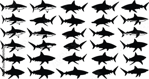Forty black and white shark silhouettes and outlines bundle, including Great White, Hammerhead, and Reef sharks, swimming ocean wildlife vector elements set.