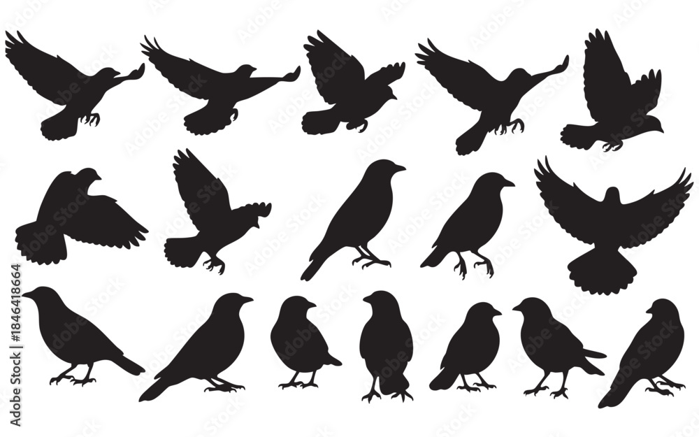 Obraz premium Bird Silhouette Vector Set