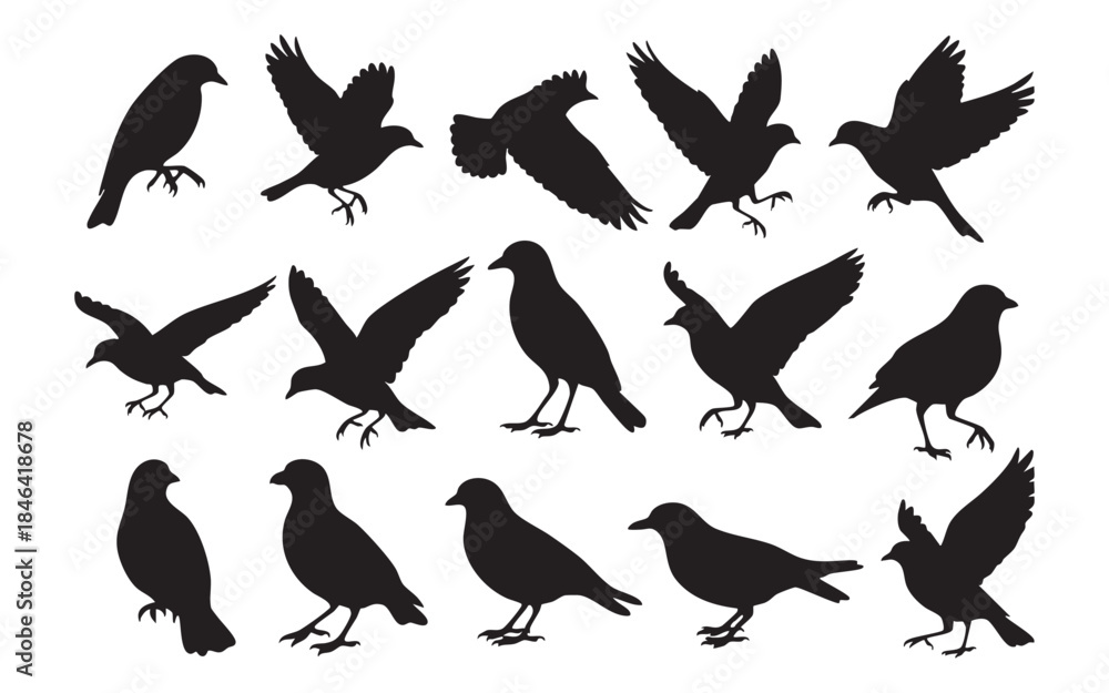Obraz premium Bird Silhouette Vector Set