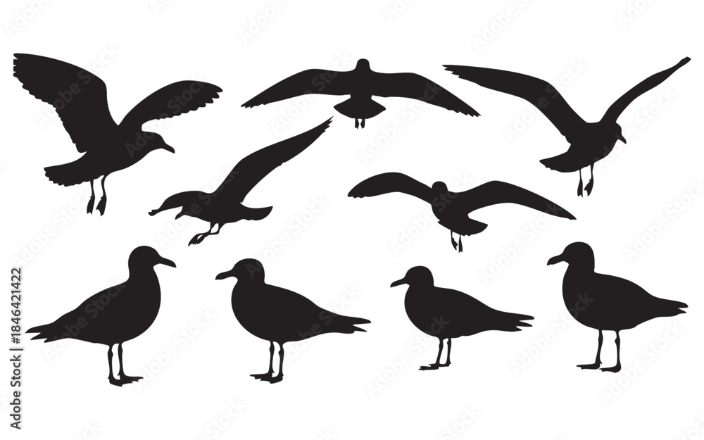 Obraz premium Bird Silhouette Vector Set
