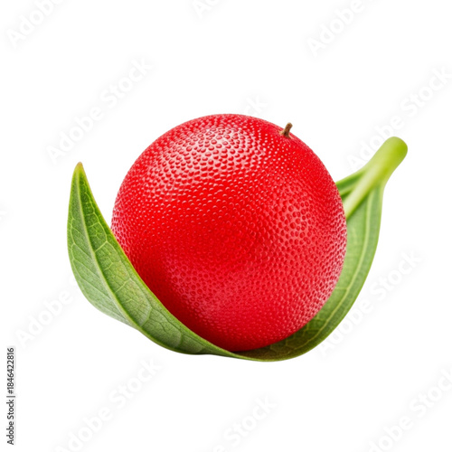 Single bright red chili pepper with green leaves isolated on black