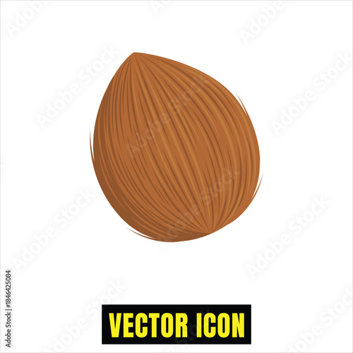 Detailed vector icon of a single nutritious almond nut, ideal for healthy snack and food designs Vector