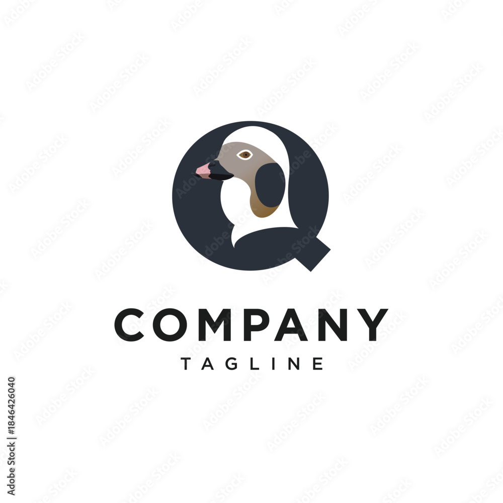 Obraz premium Letter Q Long-tailed Duck Logo Icon Vector