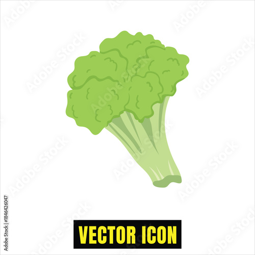 Fresh green broccoli vector icon representing healthy organic vegetable food Vector