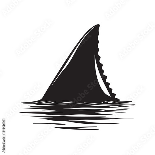 Shark fin silhouette, Shark Fin vector icon, Shark fin symbol vector illustration isolated on white background