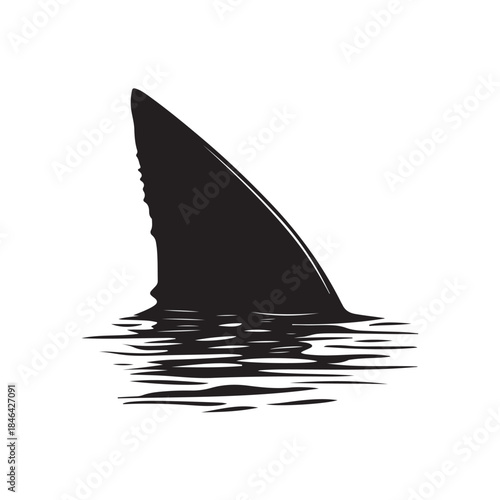 Shark fin silhouette, Shark Fin vector icon, Shark fin symbol vector illustration isolated on white background