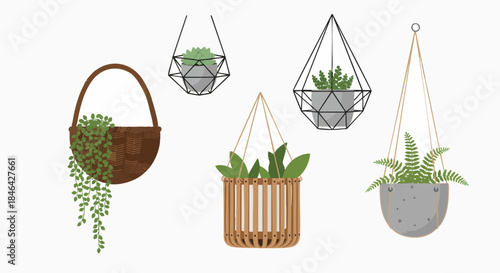 Stylish collection of hanging potted plants for home decoration interior garden houseplant succulent fern wicker geometric modern decor