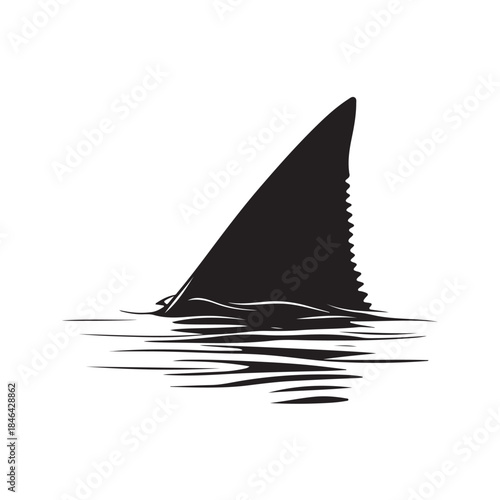Shark fin silhouette, Shark Fin vector icon, Shark fin symbol vector illustration isolated on white background