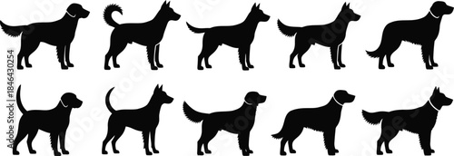 Silhouette of various doberman pinscher dogs in different poses