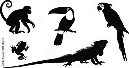 Silhouette of exotic animals including a monkey toucan and lizard silhouette