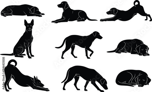 Silhouette of dogs in various poses showcasing their flexibility and behavior