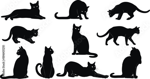Nine black cat silhouettes in various poses silhouette