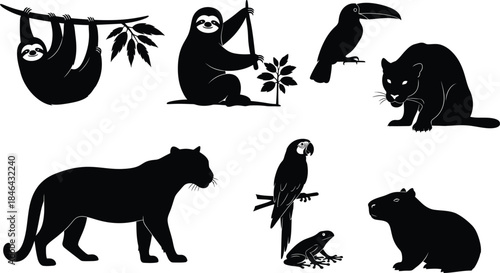 Silhouette of various animals and monkeys in natural setting silhouette