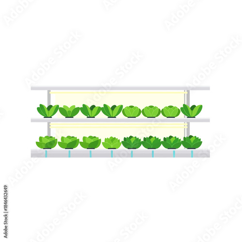 Modern hydroponic system with lush green plants growing under LED lights