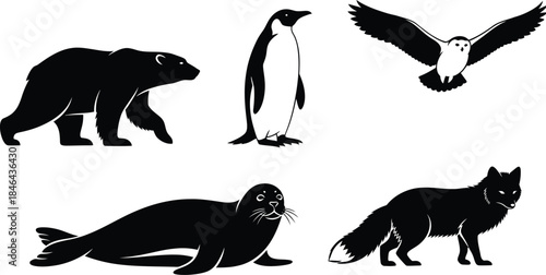 Silhouette of arctic animals polar bear penguin eagle seal and wolf
