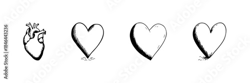 Heart Evolution Doodle Sketch Set. Transformation From Anatomical Heart To Symbolic Heart Shapes In Hand Drawn Style Collection. Concept Of Love And Emotion. Isolated Vector Illustration