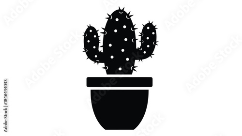 A striking black cactus in a pot a bold plant silhouette
