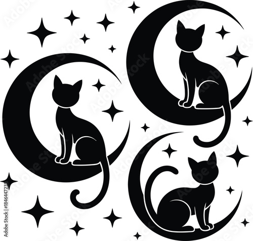 Black cat on a white background