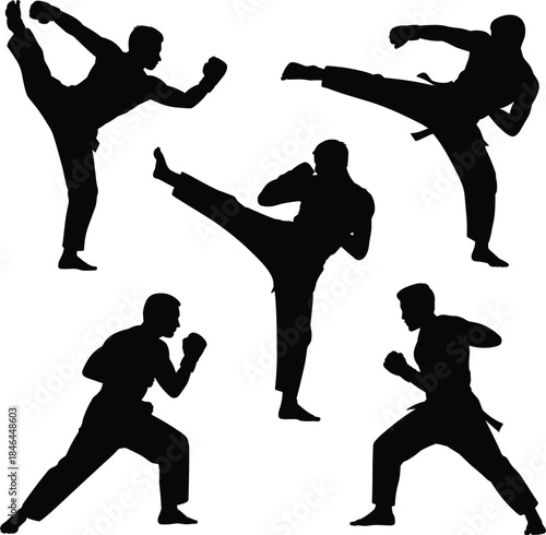 Silhouettes of Five Martial Artists in Dynamic Poses Depicting Kicks, Punches, and Defensive Stances for Combat Illustration