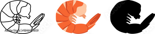 Cooked Peeled Shrimp or Prawn Vector Icon in Outline, Color, and Silhouette.