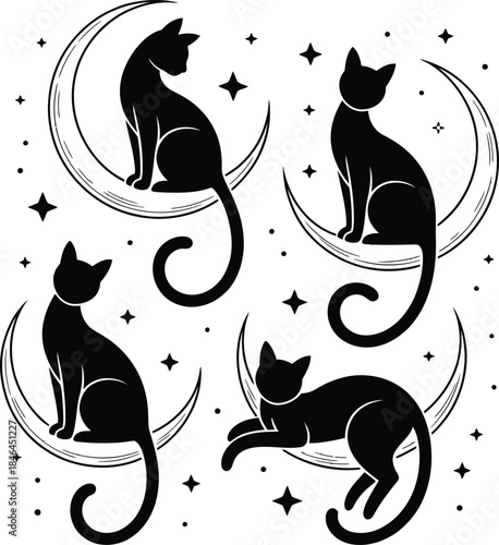Black and white cats on white background