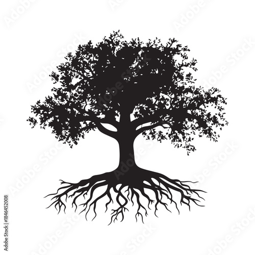 Tree with roots silhouette, Black and white silhouette of a tree with exposed roots, Silhouette of a majestic tree showing roots