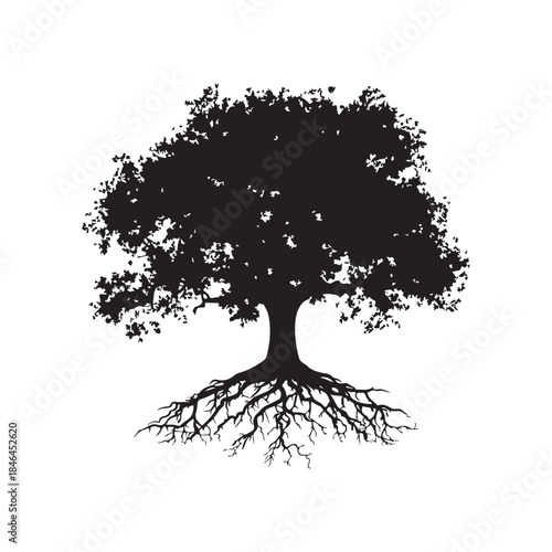 Tree with roots silhouette, Black and white silhouette of a tree with exposed roots, Silhouette of a majestic tree showing roots