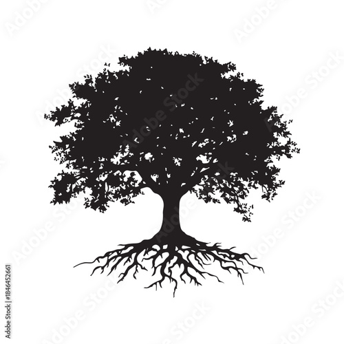 Tree with roots silhouette, Black and white silhouette of a tree with exposed roots, Silhouette of a majestic tree showing roots