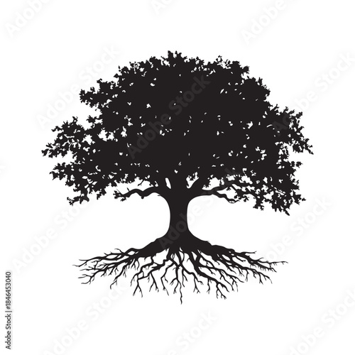 Tree with roots silhouette, Black and white silhouette of a tree with exposed roots, Silhouette of a majestic tree showing roots