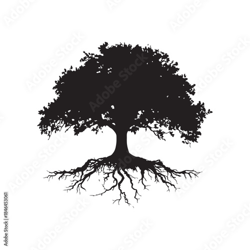 Tree with roots silhouette, Black and white silhouette of a tree with exposed roots, Silhouette of a majestic tree showing roots